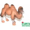 Atlas C Velbloud 11cm (W101847)