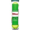 WILSON STARTER PLAY GREEN 4TBALL