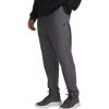 Under Armour | Under Armour Vanish Training Pant | šedá| L