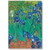 Adresár Van Gogh’s Irises Midi Paperblanks