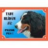 Dafiko Tabulka Tady hlídám! Bernský salašnický 1ks