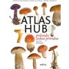 Atlas hub - Marta Knauerová