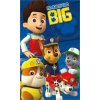 Detexpol Detský uterák Paw Patrol no job 50 x 30 cm