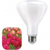 LED žiarovka pre kvitnutie rastlín 12W, E27, IP44