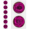 Ruža preparovaná 6,5cm VELVET PLUM /ks - bal. 6 ks