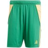 Adidas Tiro 24 M IT2414 shorts (191344) Black L