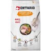 Ontario Cat Shorthair 6,5 kg