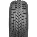 Taurus 601 Winter 225/40 R18 92V