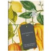 Botanical Art Notebook Set