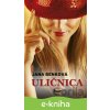 E-kniha Uličnica - Jana Benková