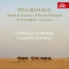 Cappella Mariana,Constantinople - Hudební pouť Kryš.Haranta [CD]