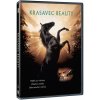 Krasavec Beauty - DVD
