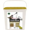 VERSELE-LAGA NutriBird INSECT PATEE PREMIUM 2kg
