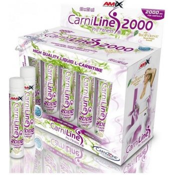 Amix CarniLine 2000 + Bioperine 250 ml