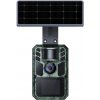 Wachman Alfa Live 4G