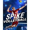 ESD Spike Volleyball