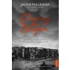 Chasing the Dragon (Jackie Pullinger)(Brožovaná)