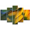 Sablio Obraz - 5-dílný Farebné perie - 125x90 cm