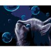 Diamondi Diamantové maľovanie - MAČKA A BUBLINY V NOCI Rámovanie: vypnuté plátno na rám, Rozmer: 40x50 cm