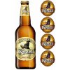 Obrázok pivo Kozel