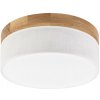 Brilagi Brilagi - LED Stropné svietidlo BELLADONNA LED/20W/230V pr. 30 cm biela/dub BG2108 + záruka 3 roky zadarmo + záruka 3 roky zadarmo