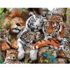 Maľovanie podľa čísel – Lev, tigre a ďalšie mačkovité šelmy (Howard Robinson), 40 × 50 cm, bez rámu a bez napnutia plátna 8596530063001
