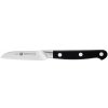 Zwilling