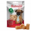 JK ANIMALS Meat Snack Puppy Salmon Bits 50 g