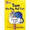 Sam and the Big Bad Cat - Sheila Bird