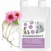Dromy Echinaceový sirup 1000 ml