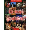 Čo majú spoločné? - Renato Caporali