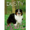 Dusty 2: V nebezpečenstve