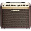 Fishman Loudbox Mini Bluetooth