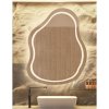 Alfaram Kúpeľňové zrkadlo s nepravidelným tvarom - STONE LED II 1659