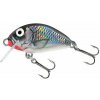 Salmo Tiny Holographic Grey Shiner 3 cm 2 g F Salmo