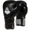 Boxerské rukavice DBX BUSHIDO B-2v9 12oz.