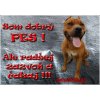 Pozorpes.sk, výstražná tabuľka (Staffordšírsky terier)
