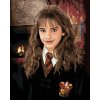 Zuty – Maľovanie Podľa Čísel – Hermiona Portrét (Harry Potter), 40 × 50 cm, Plátno + Rám 8596530239055