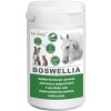 Dromy BOSWELLIA Serrata 0,75 kg