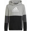 adidas Colourblock Hoodie Jr HN8563