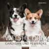 Welsh Corgi (Claudia Bohne)(Pevná)