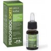 NBF Lanes Perognidol Forte pes a mačka kvapky 15 ml