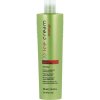 Inebrya Ice Cream Energy Shampoo - Šampón proti vypadávaniu vlasov 1000 ml
