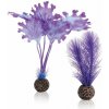 biOrb Plastová rastlina - Fialový Kelp Set 20 cm