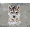 Diamondi Diamantové maľovanie - HUSKY NA SIVOM POZADÍ Rámovanie: vypnuté plátno na rám, Rozmer: 40x50 cm