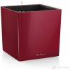 Lechuza Cube Premium 50 Scarlet komplet