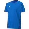 Puma teamGOAL 23 Jersey Jr 704160