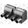 BorgWarner (BERU) Zapalovací cívka ZSE025