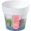 Prosperplast Kvetináč IML bylinky H2, 14cm