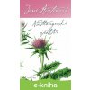 E-kniha Northangerské opatství - Jane Austen